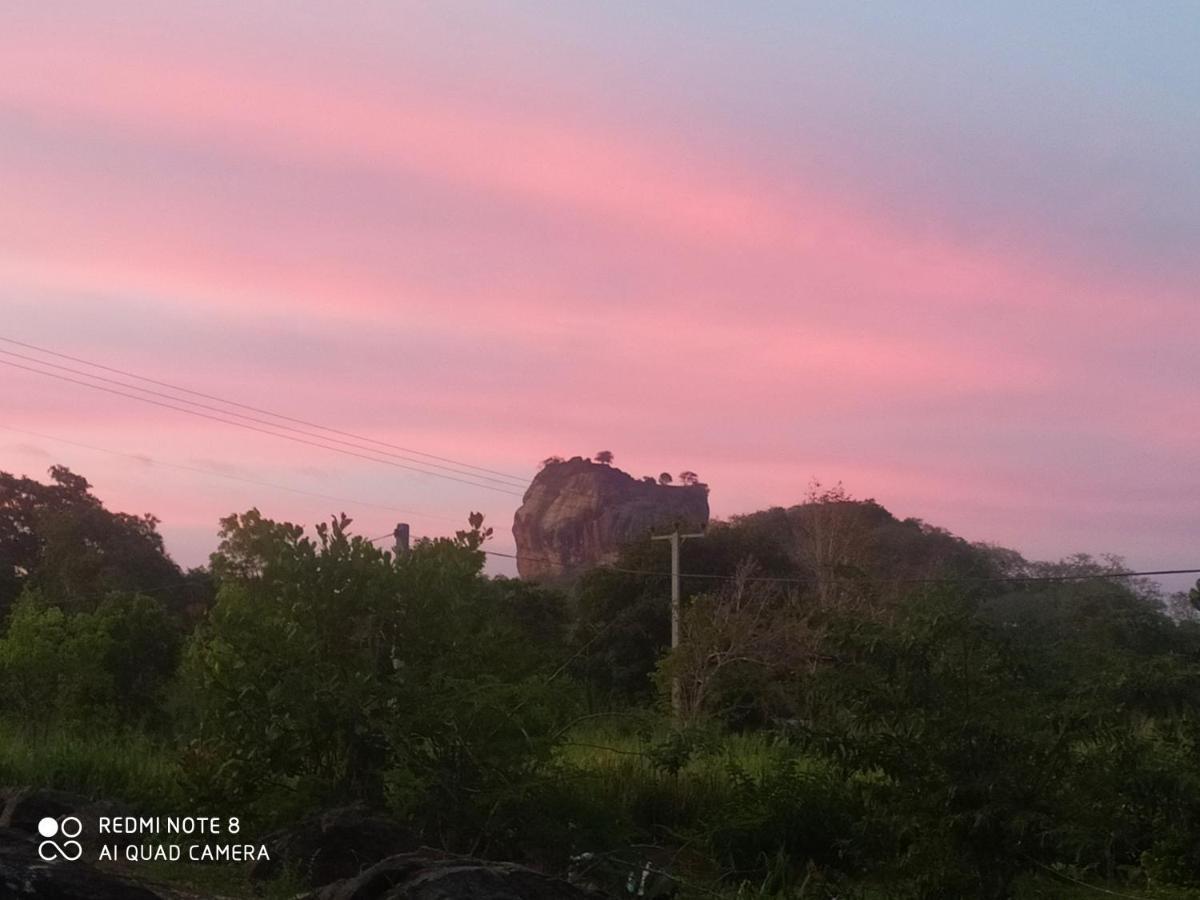 Sigiri Gayani Home Stay Sigiriya Exteriér fotografie