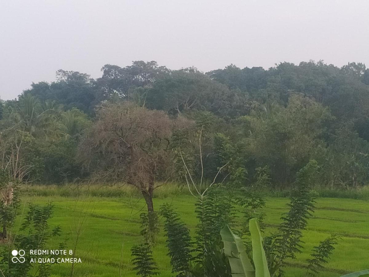 Sigiri Gayani Home Stay Sigiriya Exteriér fotografie