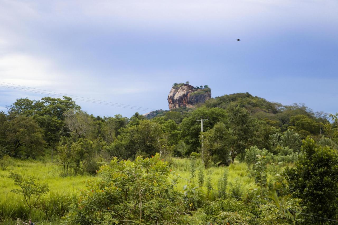 Sigiri Gayani Home Stay Sigiriya Exteriér fotografie